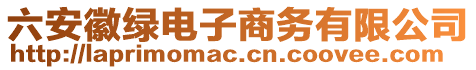 六安徽綠電子商務有限公司