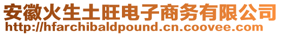 安徽火生土旺電子商務有限公司