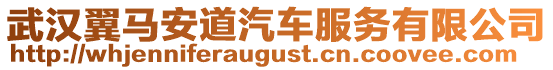 武漢翼馬安道汽車服務(wù)有限公司