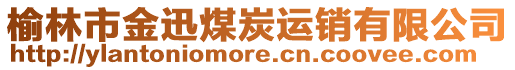 榆林市金迅煤炭運(yùn)銷有限公司