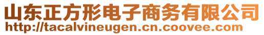 山東正方形電子商務(wù)有限公司