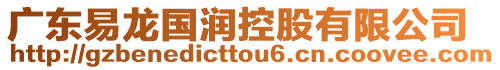 廣東易龍國潤控股有限公司