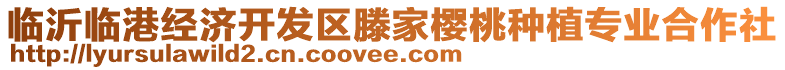 臨沂臨港經(jīng)濟(jì)開發(fā)區(qū)滕家櫻桃種植專業(yè)合作社