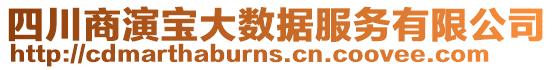 四川商演寶大數據服務有限公司