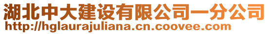 湖北中大建設有限公司一分公司