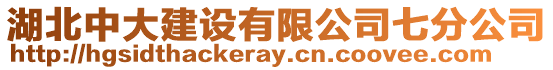 湖北中大建設(shè)有限公司七分公司