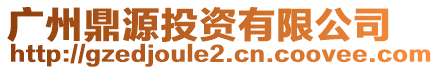 廣州鼎源投資有限公司