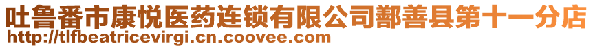 吐魯番市康悅醫藥連鎖有限公司鄯善縣第十一分店