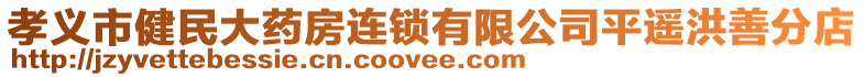 孝義市健民大藥房連鎖有限公司平遙洪善分店