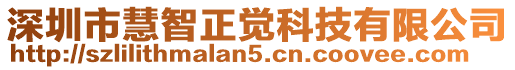 深圳市慧智正覺科技有限公司