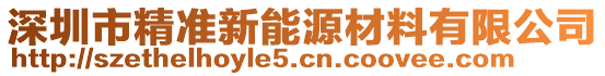深圳市精準(zhǔn)新能源材料有限公司
