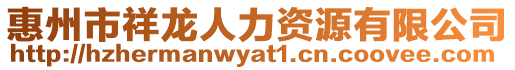 惠州市祥龍人力資源有限公司