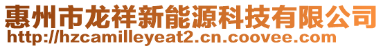 惠州市龍祥新能源科技有限公司