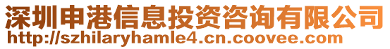 深圳申港信息投資咨詢有限公司