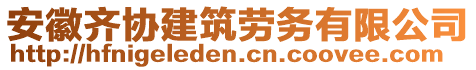 安徽齊協(xié)建筑勞務(wù)有限公司