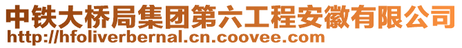 中鐵大橋局集團(tuán)第六工程安徽有限公司