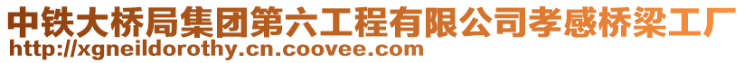 中鐵大橋局集團(tuán)第六工程有限公司孝感橋梁工廠