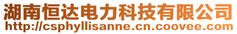 湖南恒達電力科技有限公司