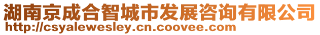 湖南京成合智城市發(fā)展咨詢有限公司