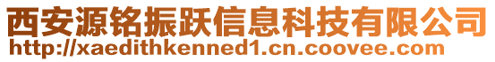 西安源銘振躍信息科技有限公司