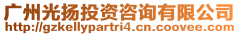 廣州光揚投資咨詢有限公司
