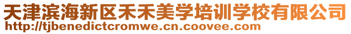 天津濱海新區(qū)禾禾美學培訓學校有限公司
