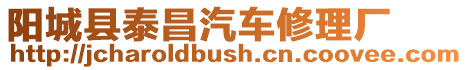 陽城縣泰昌汽車修理廠