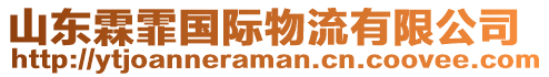 山東霖霏國(guó)際物流有限公司