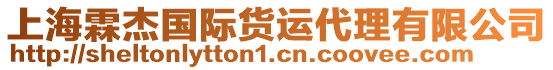 上海霖杰國(guó)際貨運(yùn)代理有限公司