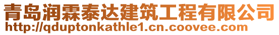 青島潤霖泰達建筑工程有限公司