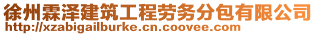 徐州霖澤建筑工程勞務(wù)分包有限公司