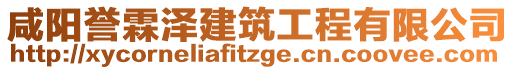 咸陽譽霖澤建筑工程有限公司