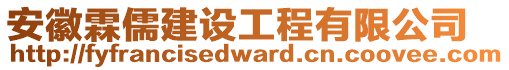 安徽霖儒建設工程有限公司