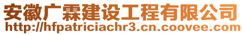 安徽廣霖建設工程有限公司