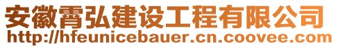 安徽霄弘建設工程有限公司