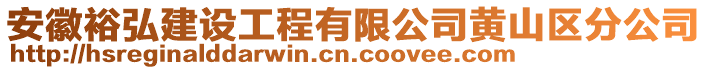 安徽裕弘建設工程有限公司黃山區分公司