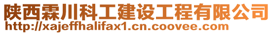 陜西霖川科工建設(shè)工程有限公司