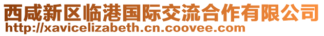 西咸新區臨港國際交流合作有限公司