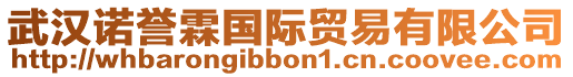 武漢諾譽(yù)霖國際貿(mào)易有限公司