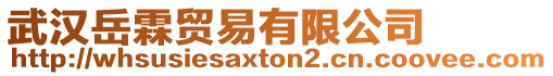 武漢岳霖貿(mào)易有限公司