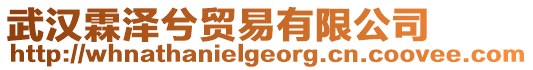 武漢霖澤兮貿(mào)易有限公司
