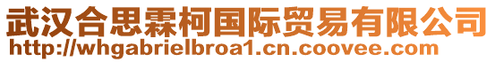 武漢合思霖柯國際貿(mào)易有限公司