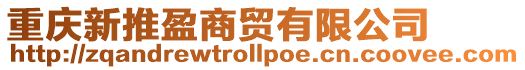 重慶新推盈商貿有限公司