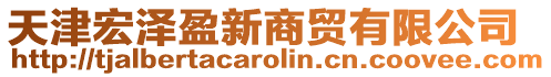 天津宏澤盈新商貿有限公司