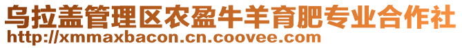 烏拉蓋管理區(qū)農(nóng)盈牛羊育肥專業(yè)合作社