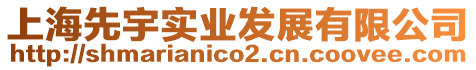 上海先宇實業發展有限公司