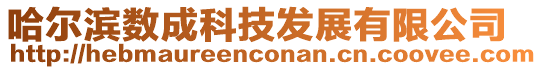 哈爾濱數(shù)成科技發(fā)展有限公司