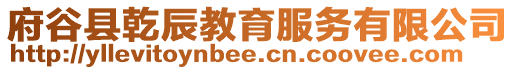 府谷縣乾辰教育服務(wù)有限公司