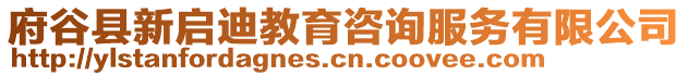 府谷縣新啟迪教育咨詢服務有限公司