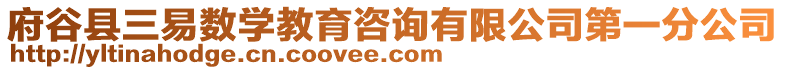 府谷縣三易數學教育咨詢有限公司第一分公司
